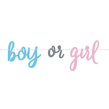 Betűfüzér Gender Reveal Boy or Girl 213cm