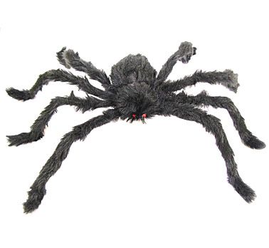 Szőrös pók fekete 60cm
