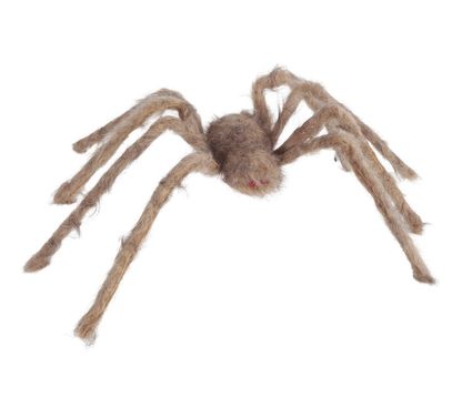 Szőrös pók barnásszürke 60cm