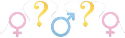 Girland Gender Reveal szimbólumok 500x20cm