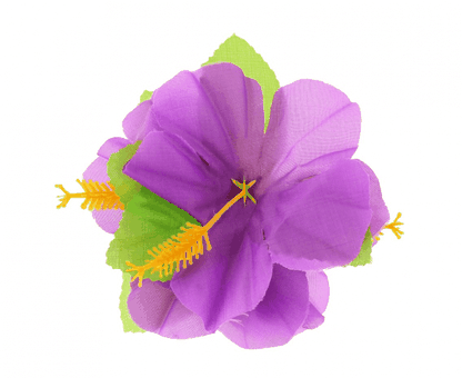 Hawaii hajcsat lila