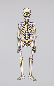 Kartondekoráció csontváz 89cm