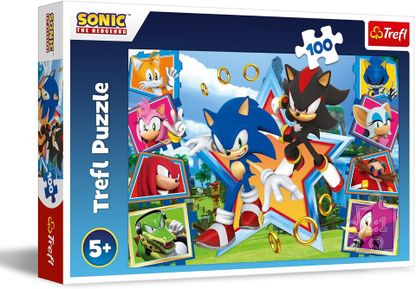 Puzzle Sonic 100 dielikov
