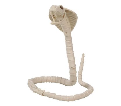Kobra csontváz utánzat 100cm